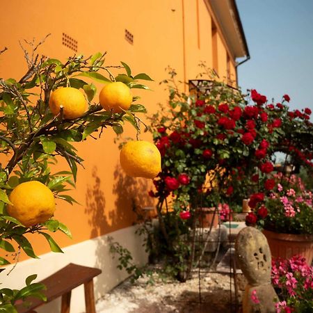 B&B Aesis La Dolce Collina Iesi Bagian luar foto