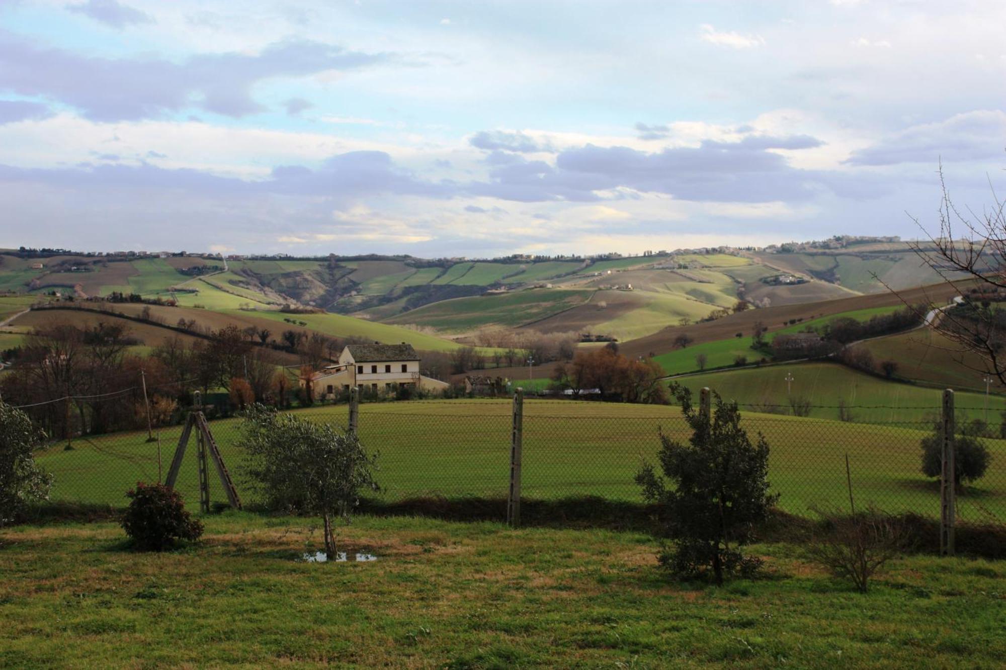 B&B Aesis La Dolce Collina Iesi Bagian luar foto