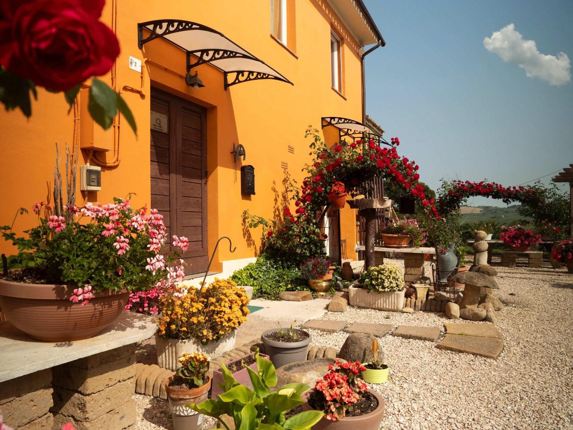 B&B Aesis La Dolce Collina Iesi Bagian luar foto