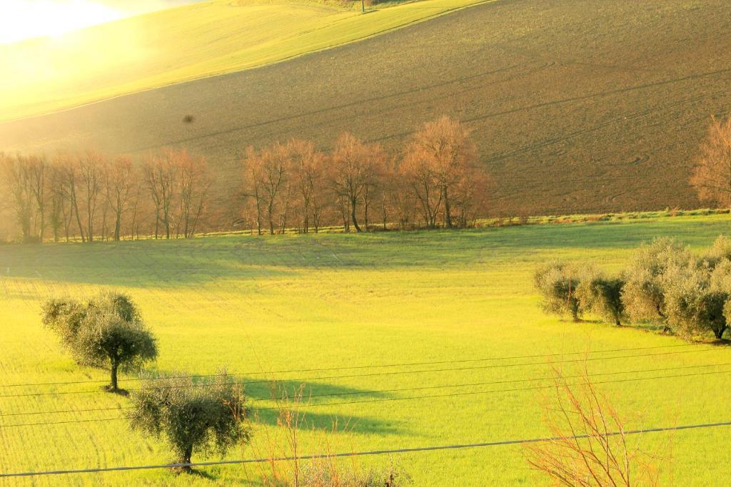 B&B Aesis La Dolce Collina Iesi Bagian luar foto